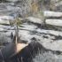 2024 archives 00005